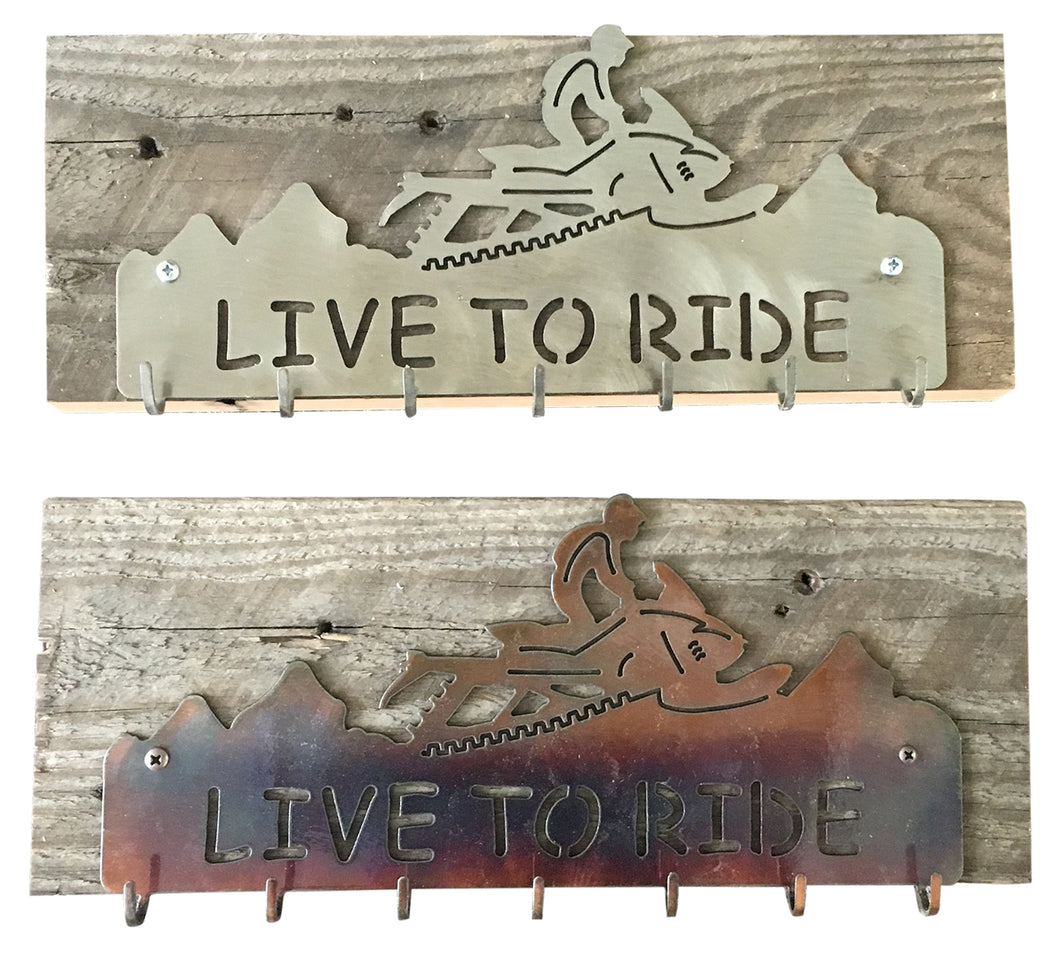 Backcountry Sled Patriots Metal artwork Key Hanger